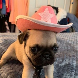 Meet your Posher, Grace